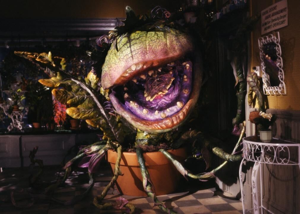 Little Shop of Horrors (1986)